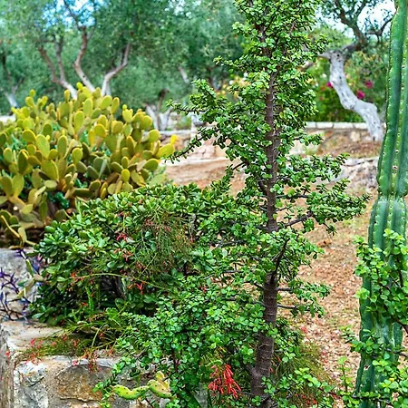 Anna's Hideaway דירה Petalídhion